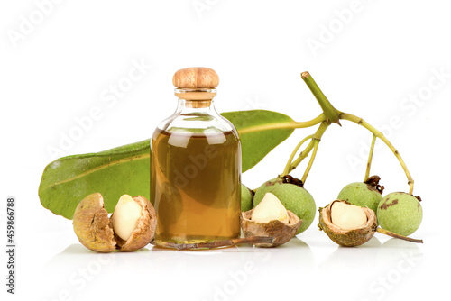 Alexandrian laurel,or Calophyllum inophyllum green leaves, fruits and oil isolated on white background. photo