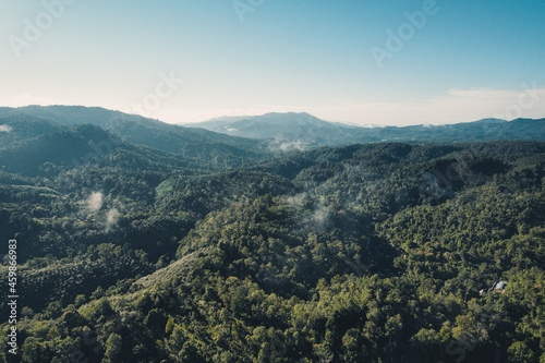 High angle view of the forest and fog in the morning