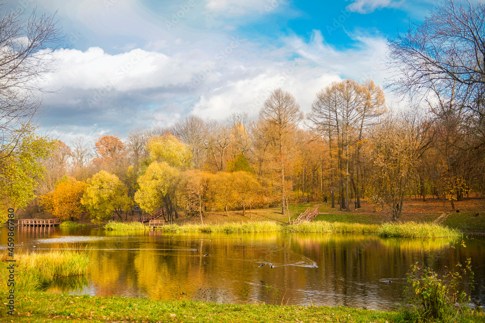 Autumn sunny day with blue sky in the park Botanical garden, near a pond surrounded by autumn trees and yellow grass, Russia, Moscow. Autumn sunny day with blue sky in the park Botanical garden, near a pond surrounded by autumn trees and yellow grass, Russia, Moscow.
