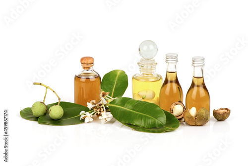 Alexandrian laurel or Calophyllum inophyllum and oil isolated on white background. photo