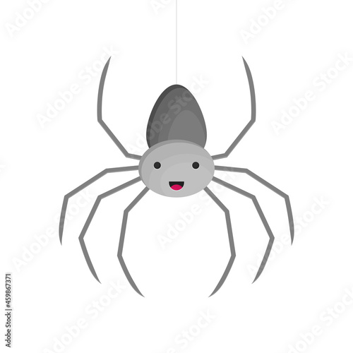 Vector flat style illustration of spider