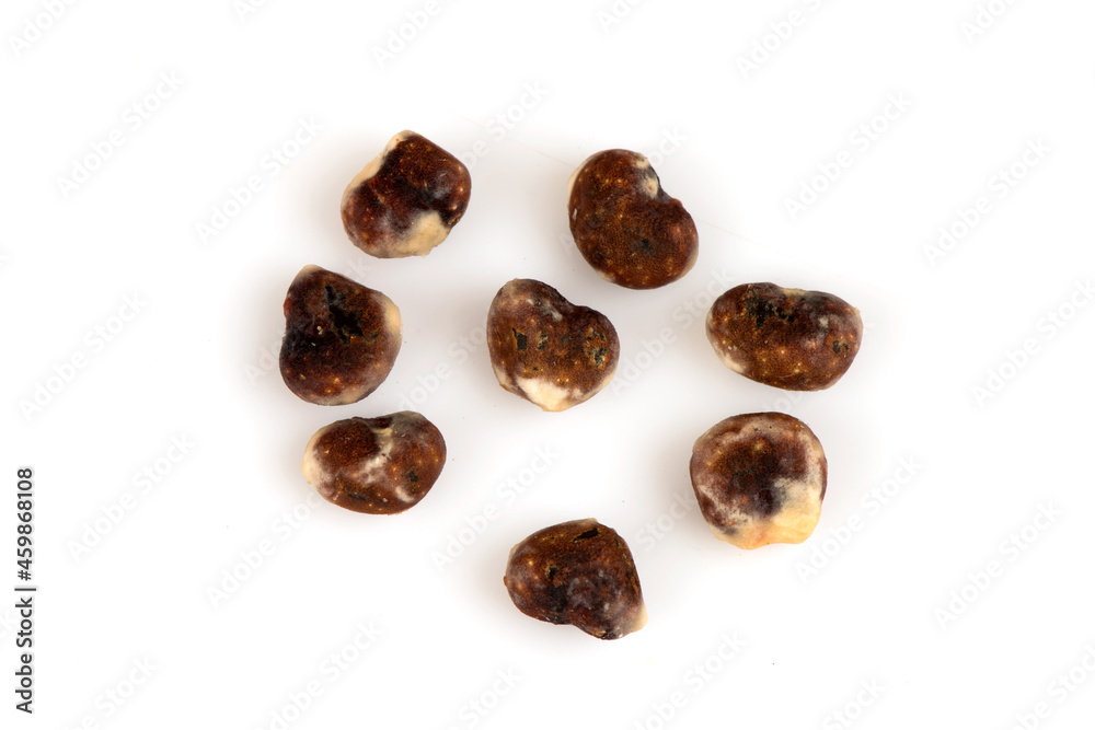 Baobab seeds isolated on white background. Baobab seeds isolated on white background.