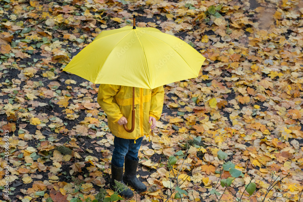 Child in the rain park under large yellow umbrella on fallen leaves background. Top view