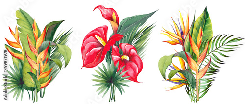 Tropical floral arrangements with red anthurium, strelitzia, heliconia and palm leaves. Watercolor illustration on white background. photo