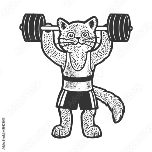 Cat weight lifter athlete sketch engraving vector illustration. T-shirt apparel print design. Scratch board imitation. Black and white hand drawn image.