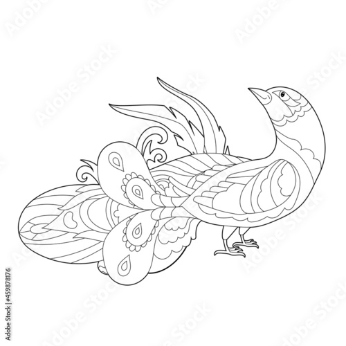 Cute peacock. Doodle style, black and white background. Funny bird, coloring book pages. Hand drawn illustration in zentangle style for children and adults, tattoo.