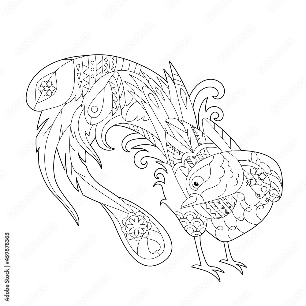 Fototapeta premium Cute peacock. Doodle style, black and white background. Funny bird, coloring book pages. Hand drawn illustration in zentangle style for children and adults, tattoo.