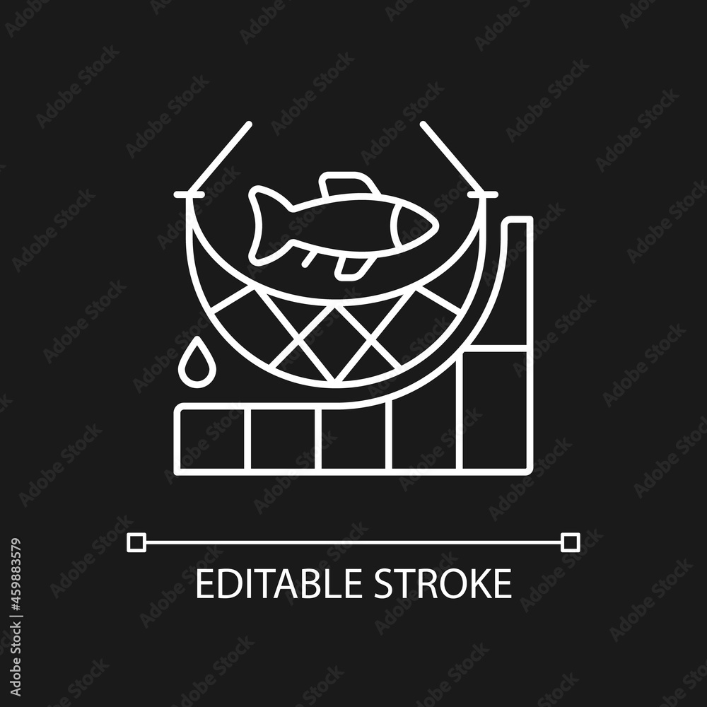 Total allowable catch white linear icon for dark theme. Maximum fish quantity. Rules, regulations. Thin line customizable illustration. Isolated vector contour symbol for night mode. Editable stroke Total allowable catch white linear icon for dark theme. Maximum fish quantity. Rules, regulations. Thin line customizable illustration. Isolated vector contour symbol for night mode. Editable stroke