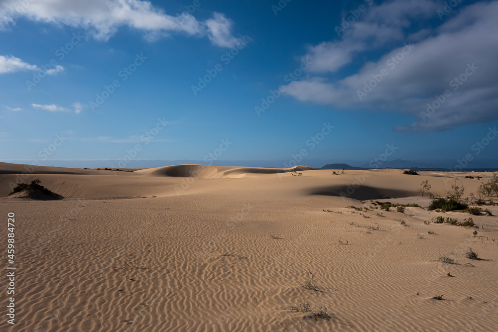 Beautiful sand patterns with  low sun in the natural park in Corralejo on the enchanting island of Fuerteventura in the Canary Islands Spain