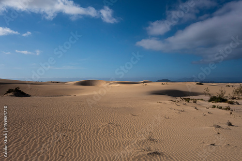 Beautiful sand patterns with low sun in the natural park in Corralejo on the enchanting island of Fuerteventura in the Canary Islands Spain
