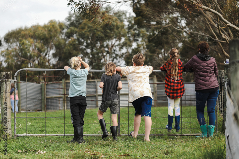 Fototapeta premium Woman with four children resting on farm gate looking into the field