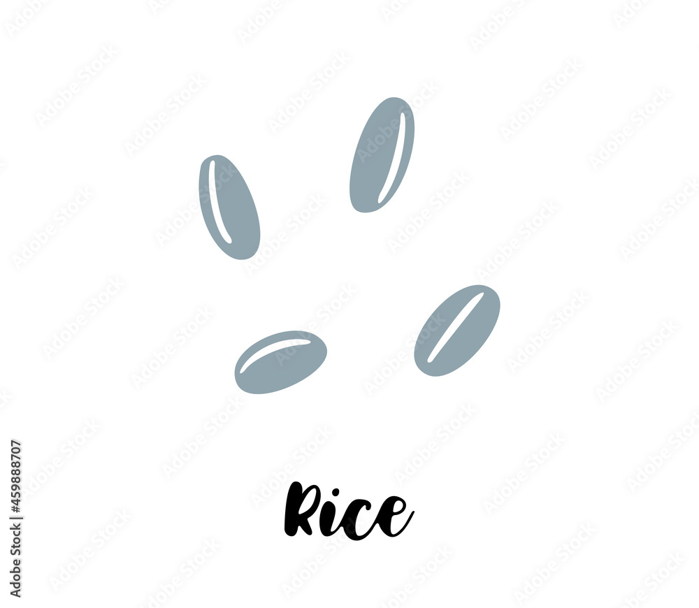 Rice grains flat drawing. Vector isolated eps illustration Rice grains flat drawing. Vector isolated eps illustration