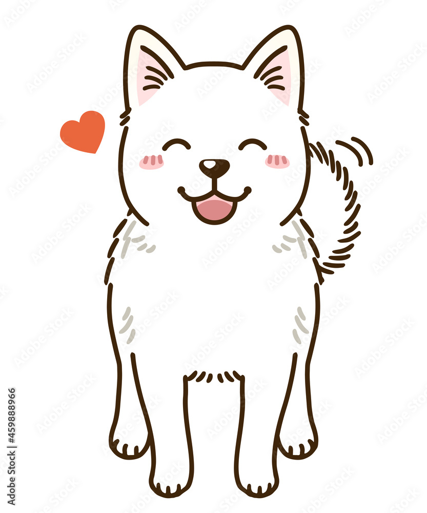 Obraz premium 懐く北海道犬(白)