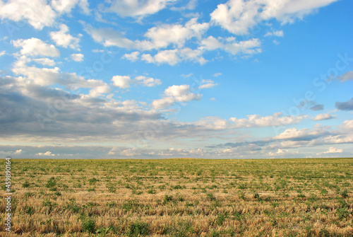 Field of harvested wheat, cloudy sunny sky, spring in Ukraine