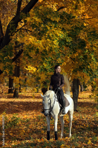 Equestrian girl ride her horse in autumnal nature 