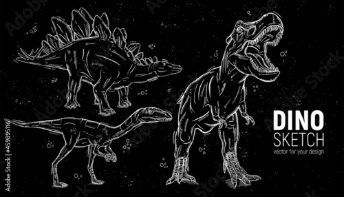 Set of hand-drawn dinosaur sketches.Stegosaurus, tyrannosaurus and deinonychus