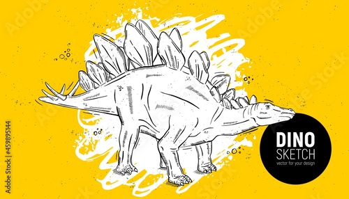 Hand drawn dinosaur sketch. Stegosaurus photo