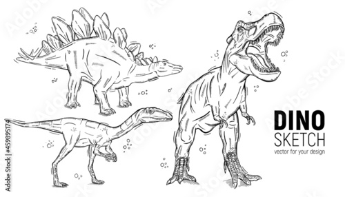 Fototapeta Naklejka Na Ścianę i Meble -  Set of hand-drawn dinosaur sketches.Stegosaurus, tyrannosaurus and deinonychus