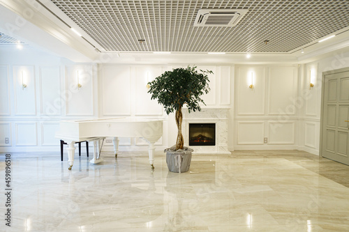 Vászonkép white ceremonial hall with grand piano and potted house tree.
