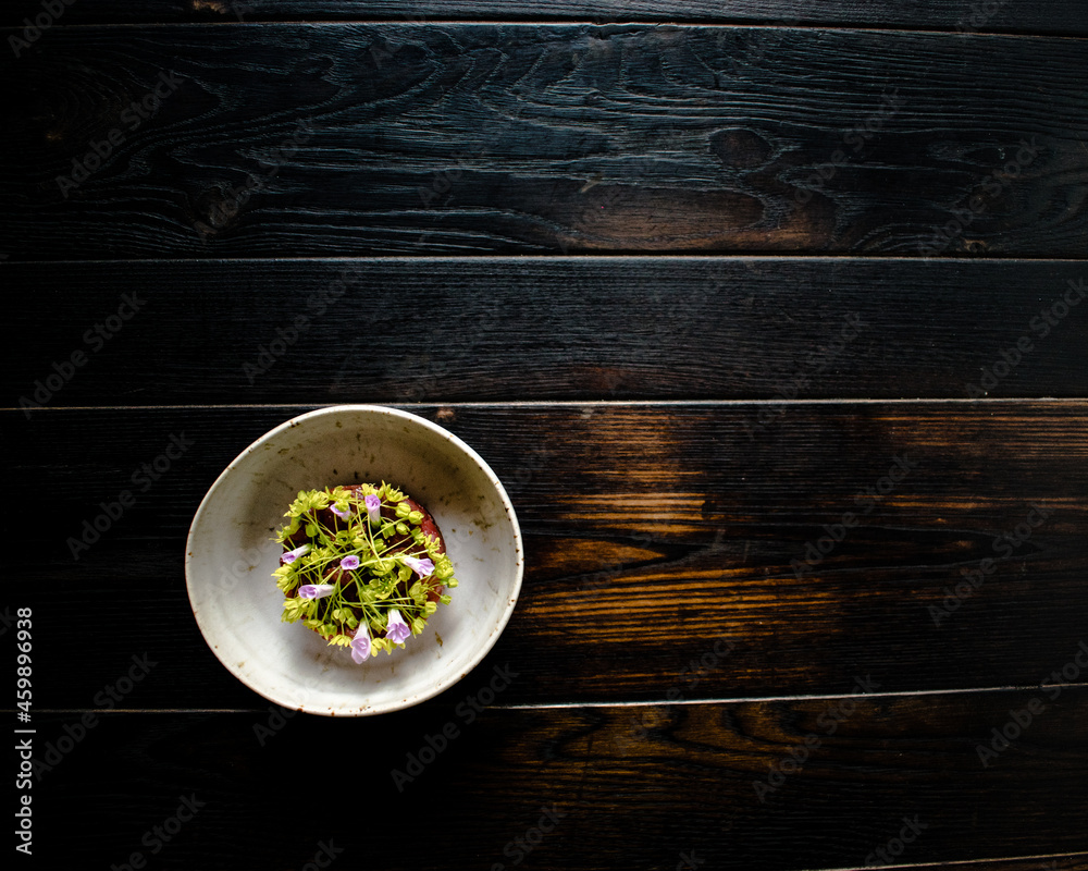 Red meat tartare decorated and plated with flowers and garden green Red meat tartare decorated and plated with flowers and garden green
