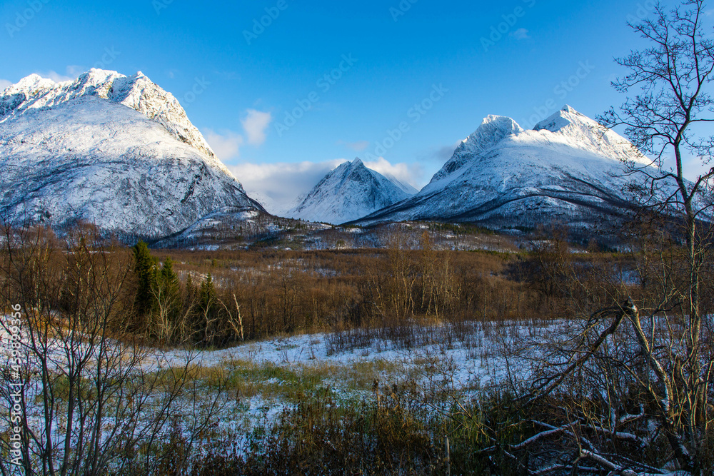 Steile Berge in den Lyngenalps, Troms, Norwegen sind frisch verschneit und erheben sich über die Birken im tiefen Tal. blue sky on a sunny winter day