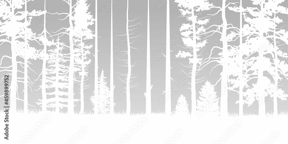 White tree forest background and snowing for winter season concept. Hand drawn isolated illustrations.