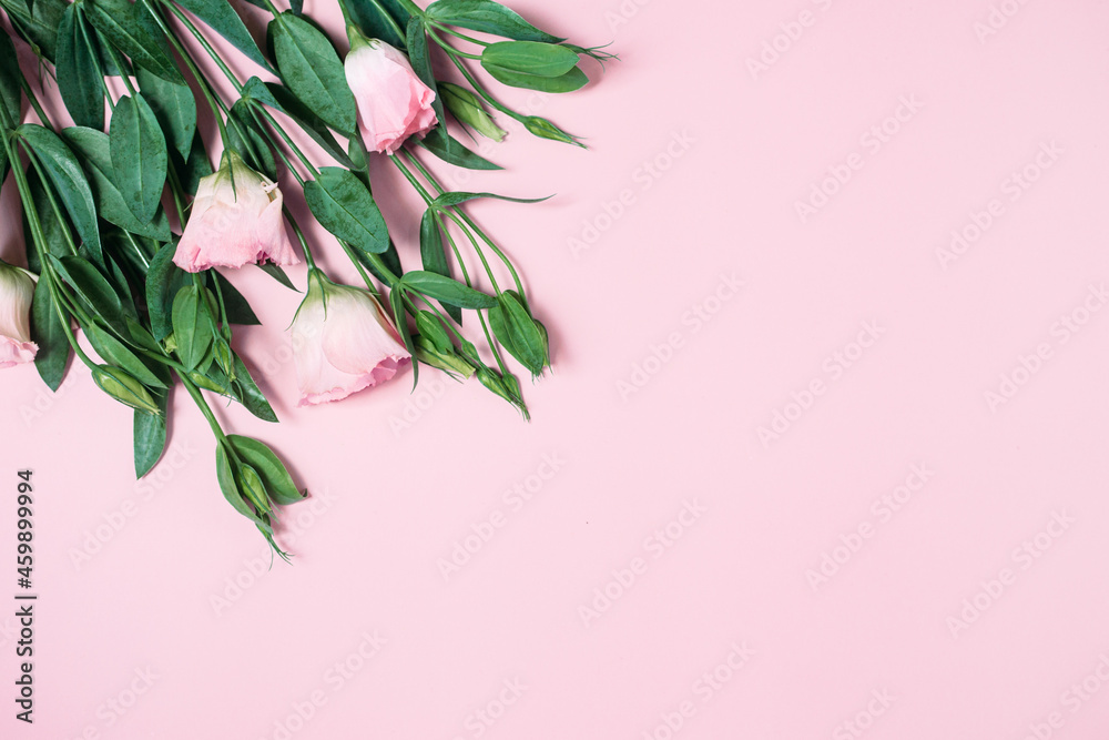 Bouquet of pink eustoma on a pink background. Card