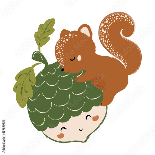 Cute squirrel and acorn vector illustration, hand drawn graphic for children artworks.