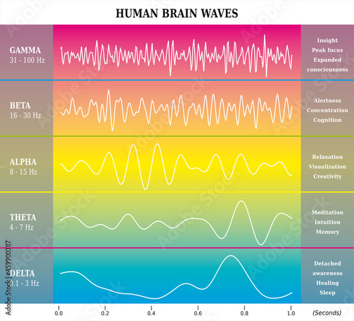 Ondes Cérébrales Humaines Diagramme / Illustration, Couleurs Arc-en-Ciel 