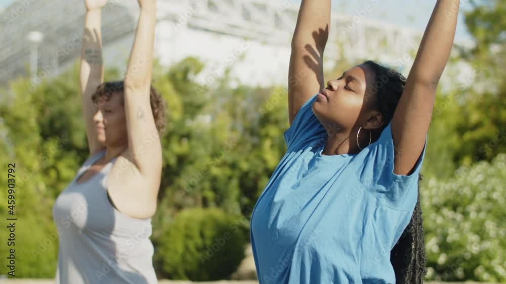 Slow motion of fat girls warming up before outdoor workout. Side view of cheerful Caucasian and Afro-American women raising hands up, bending to sides. Body positive, sport, togetherness concept Slow motion of fat girls warming up before outdoor workout. Side view of cheerful Caucasian and Afro-American women raising hands up, bending to sides. Body positive, sport, togetherness concept