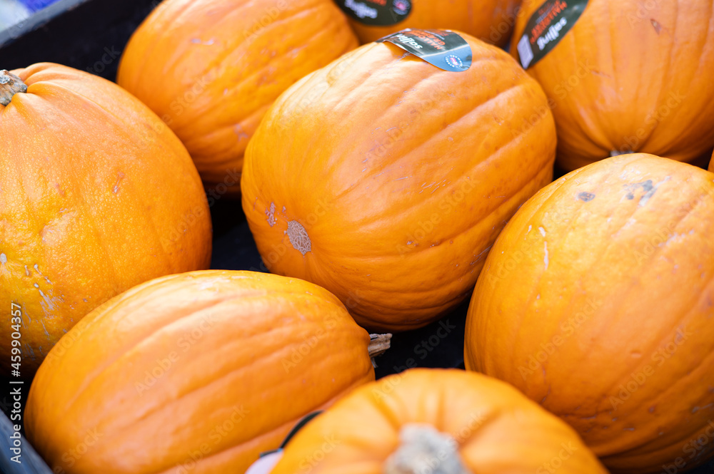 pumpkin for halloween, halloween decoration