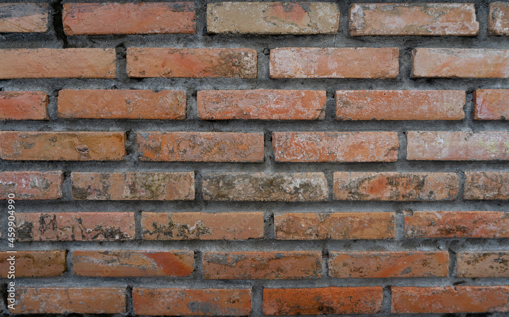 Fototapeta premium background of brick wall block
