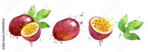 Watercolor illustration set of passionfruit