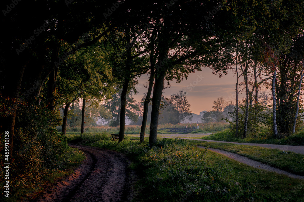 Autumn landscape, Pathway or walk way through the wood in the morning during the golden sunrise and fog, Amsterdamse Bos (Forest) Park in the municipalities of Amstelveen and Amsterdam, Netherlands Autumn landscape, Pathway or walk way through the wood in the morning during the golden sunrise and fog, Amsterdamse Bos (Forest) Park in the municipalities of Amstelveen and Amsterdam, Netherlands