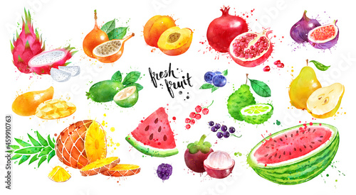 Fototapeta Naklejka Na Ścianę i Meble -  Watercolor set of exotic fruit