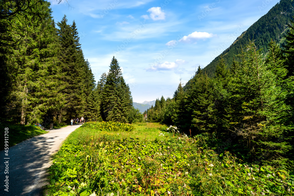 Hiking trails through the beautiful nature of the Hohe Tauern National Park near the Krimml Waterfalls Hiking trails through the beautiful nature of the Hohe Tauern National Park near the Krimml Waterfalls