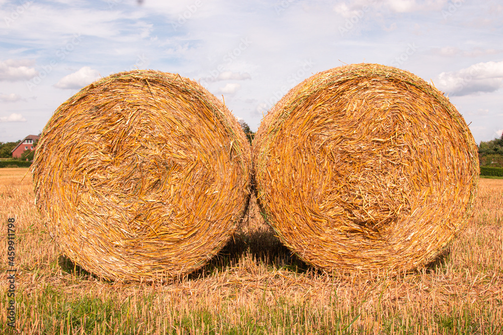 Strohballen im Sommer auf abgeernteten Feld Strohballen im Sommer auf abgeernteten Feld