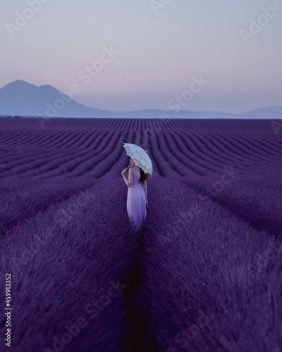 Lavendel Felder Manosque France