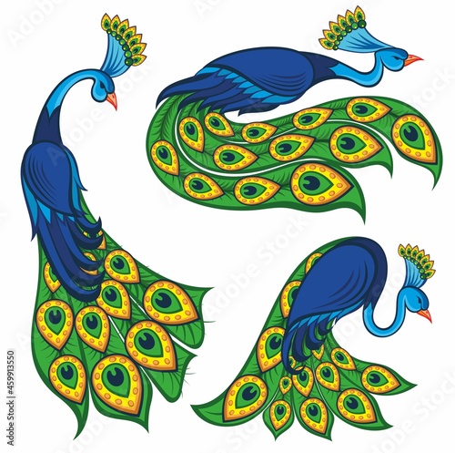 Illustration set with vector peacock birds