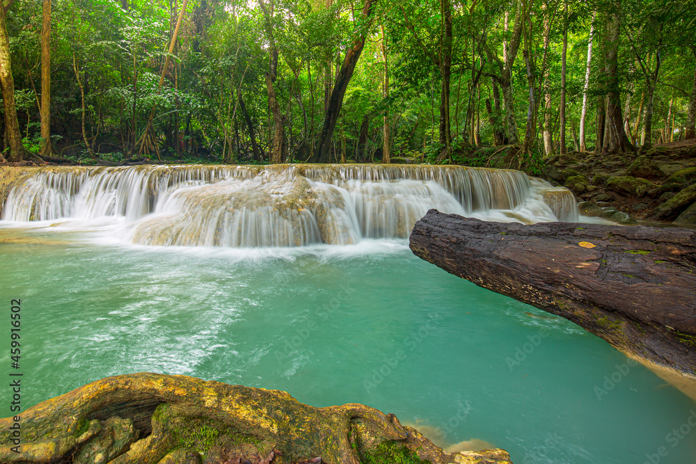Naklejka premium streams and waterfalls in the forest,Panoramic beautiful deep forest waterfall