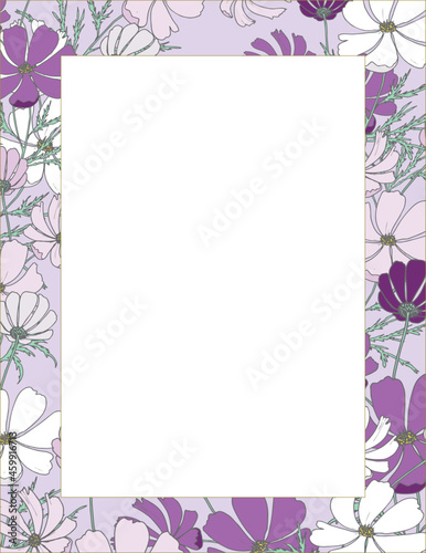 A pink floral frame with cosmos flowers.
