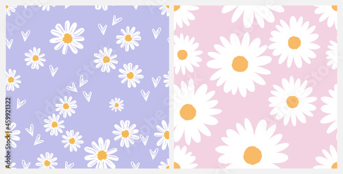 Set of daisy flower seamless pattern with purple and pink backgrounds vector illustration. Cute floral print.