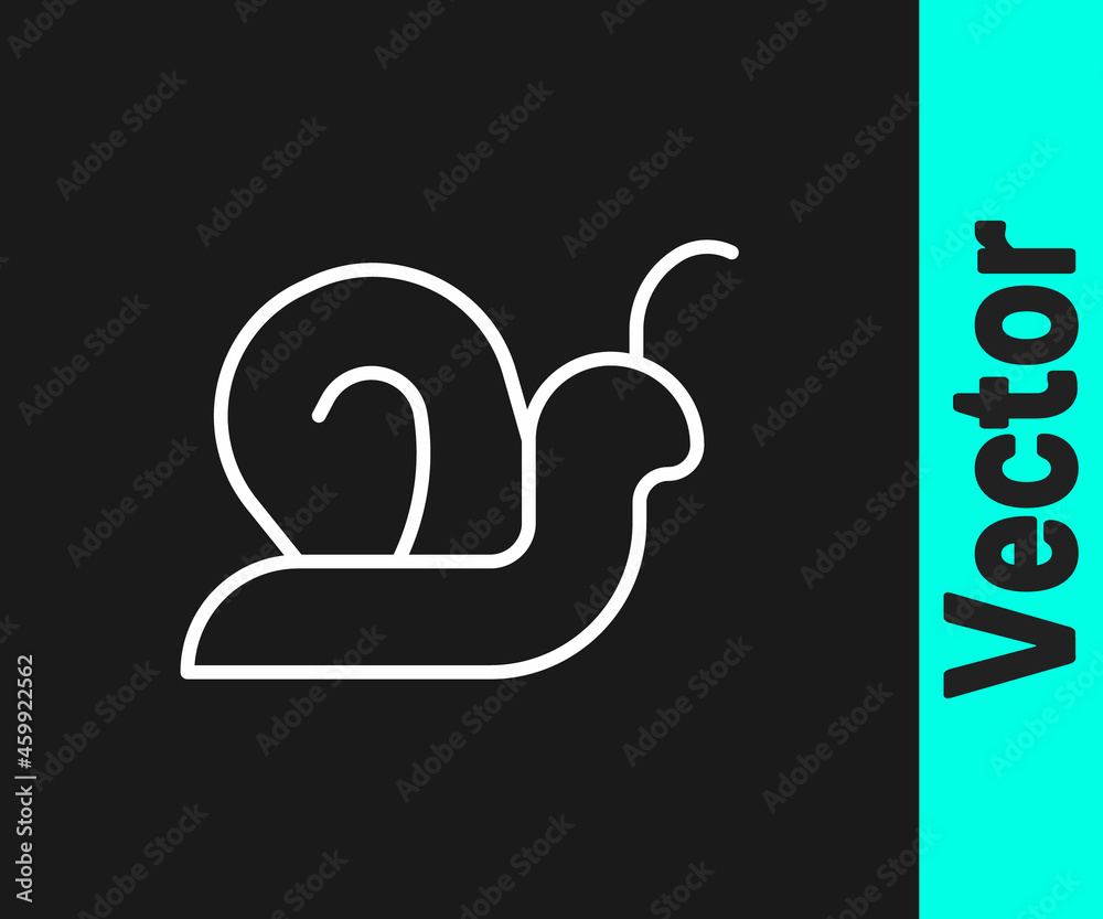 White line Snail icon isolated on black background. Vector White line Snail icon isolated on black background. Vector