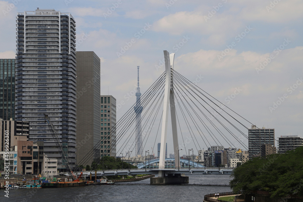 佃大橋から見る中央大橋（東京都中央区）