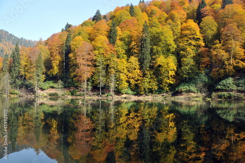 Artvin Borçka Karagöl in autumn