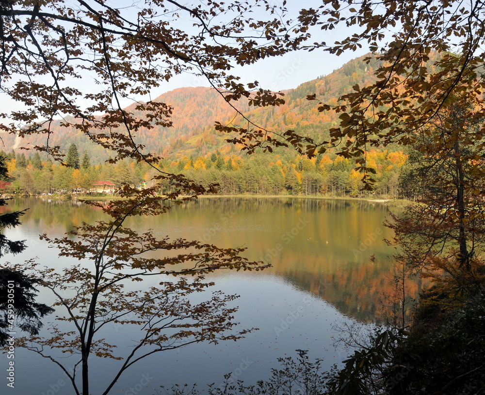 Fototapeta premium Artvin Borçka Karagöl in autumn