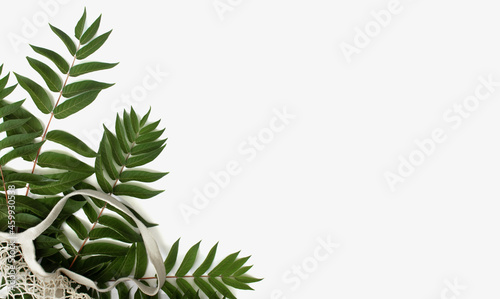 Green leaves with reusable shopping bag on white background. Zero waste concept with copy space
