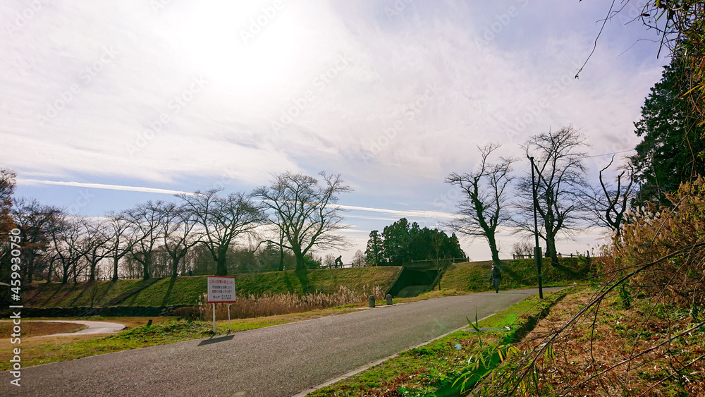 Fototapeta premium road in the countryside