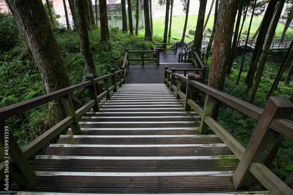 Obraz premium The walkway from wood in nature park taiwan