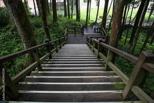 The walkway from wood in nature park taiwan